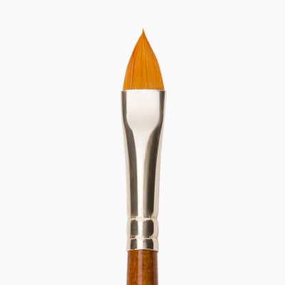 Camel Interchangeable Speciality Brush