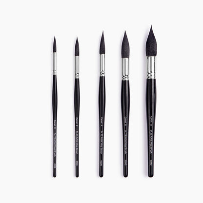 Camel Artist Mop Brush Set of 5