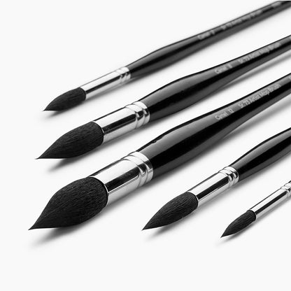 Camel Artist Mop Brush Set of 5